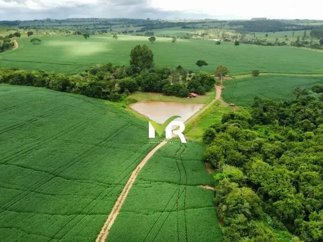 Imagem 9: Fazenda 52 Alqueires Ipameri - Go