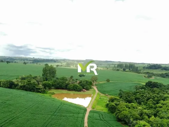 Imagem 4: Fazenda 52 Alqueires Ipameri - Go