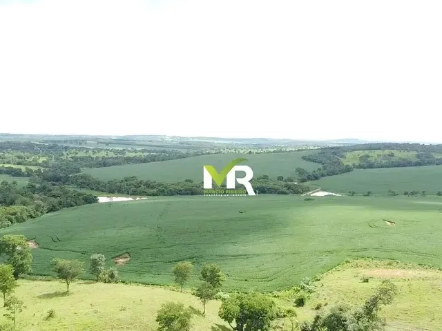 Imagem 14: Fazenda 52 Alqueires Ipameri - Go