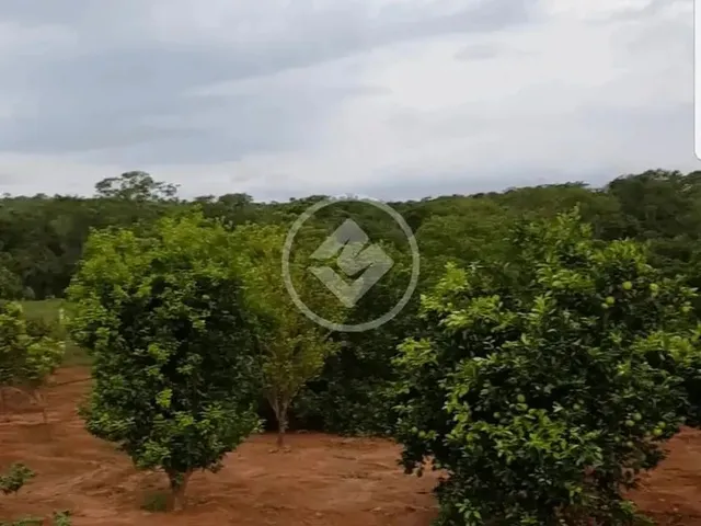 Imagem 9: Ref: Office2240 - Chácara com 3 Hectares em Cristinópolis, Goiás. Codigo: 49239