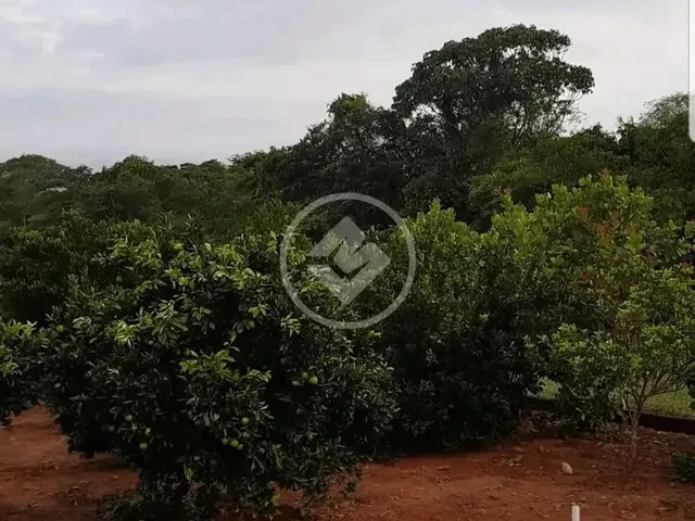 Imagem 12: Ref: Office2240 - Chácara com 3 Hectares em Cristinópolis, Goiás. Codigo: 49239