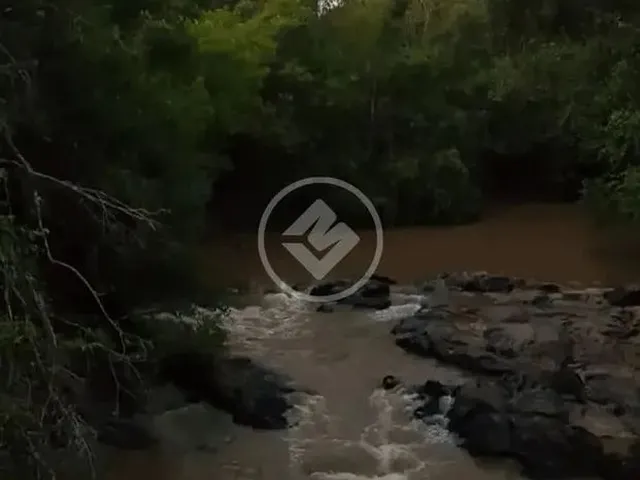 Imagem 4: Ref: Office2240 - Chácara com 3 Hectares em Cristinópolis, Goiás. Codigo: 49239