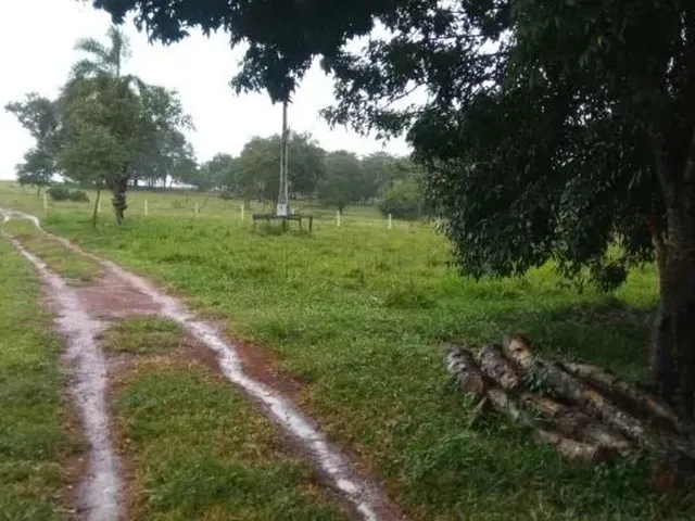 Imagem: Chácara Completa de 7 Alqueires À Venda