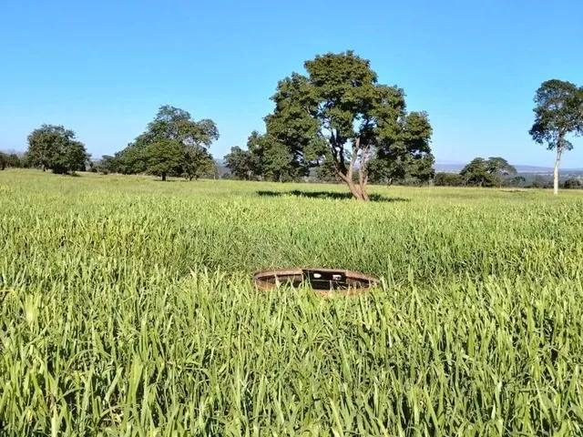Imagem: Fazenda À Venda em Itarumã-Go 103 Alqueires