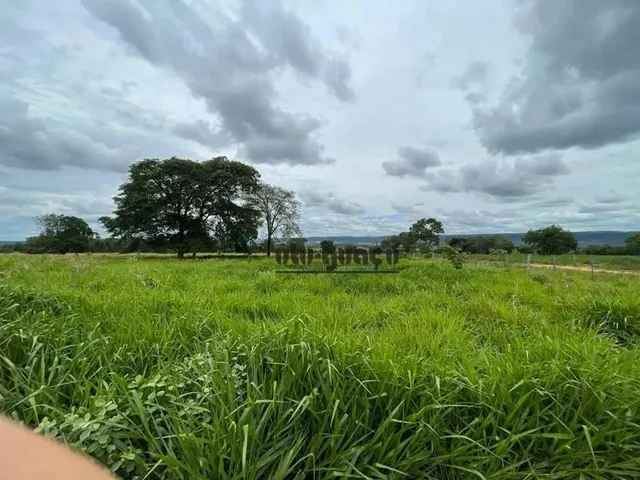 Imagem: Fazenda À Venda, M² por R$ 235.000.000