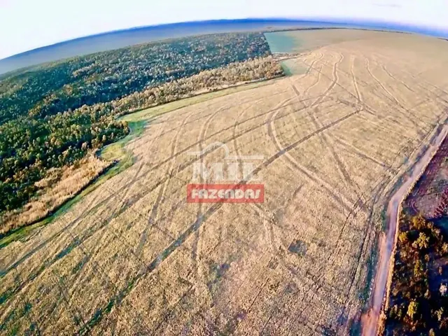 Imagem: Fazenda 103 Alqueires (500 Hectares) Doverlândia
