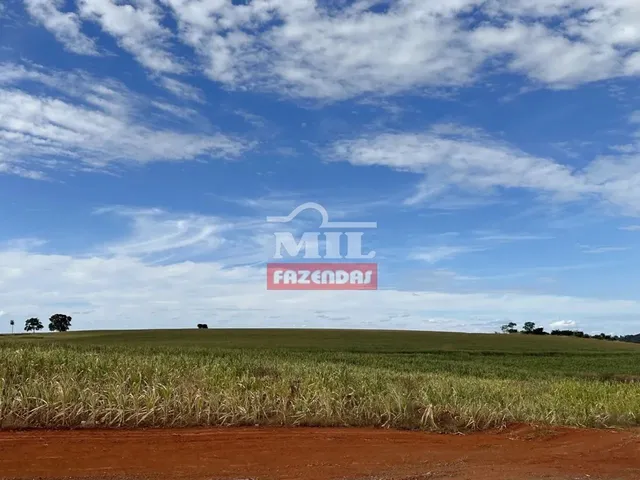 Imagem: Fazenda em Avelinopólis-Go (32 Alqueires