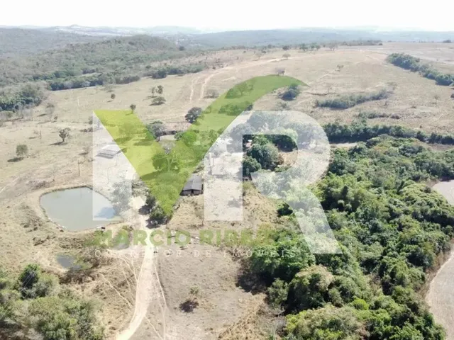 Imagem: Fazenda 60 Alqueires em Ipameri Go