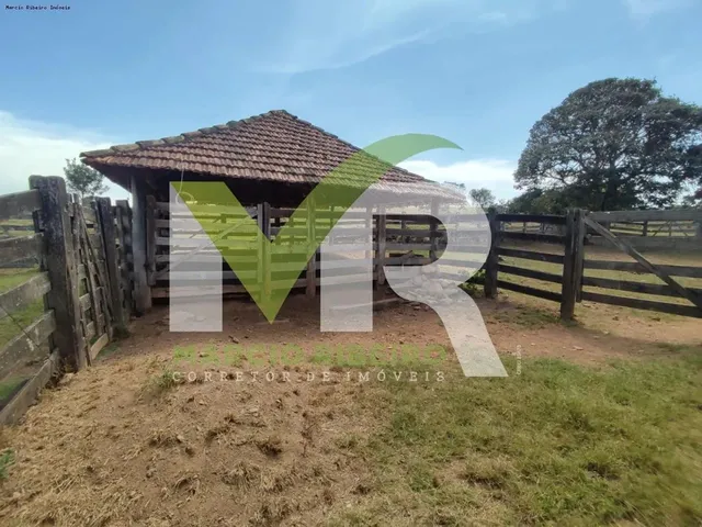 Imagem 11: Fazenda 60 Alqueires em Ipameri Go