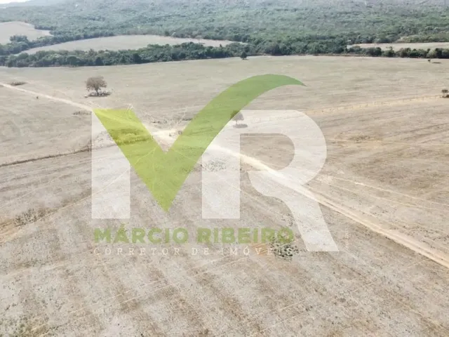 Imagem 3: Fazenda 60 Alqueires em Ipameri Go