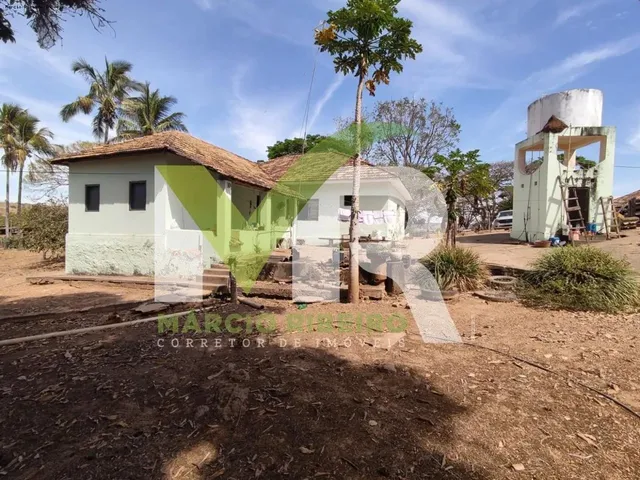 Imagem 7: Fazenda 60 Alqueires em Ipameri Go