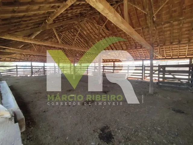 Imagem 9: Fazenda 60 Alqueires em Ipameri Go