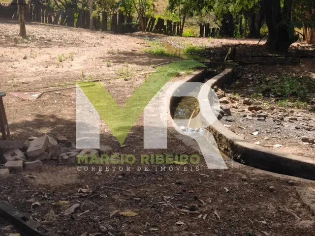 Imagem 12: Fazenda 60 Alqueires em Ipameri Go