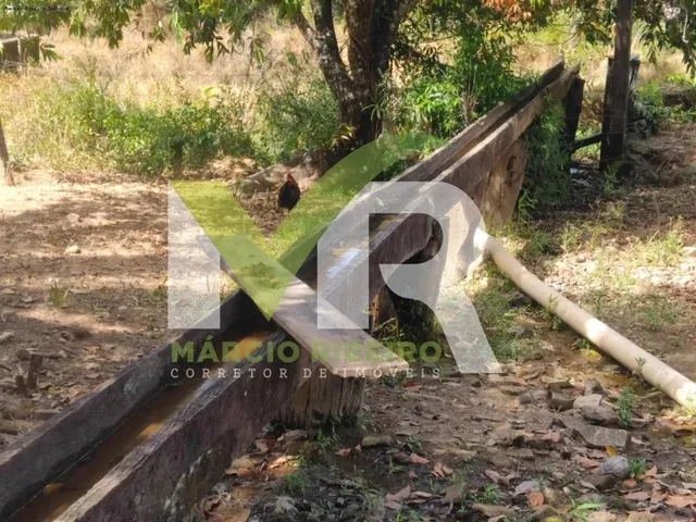 Imagem 6: Fazenda 60 Alqueires em Ipameri Go