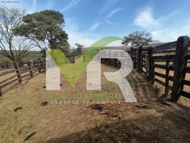 Imagem 13: Fazenda 60 Alqueires em Ipameri Go