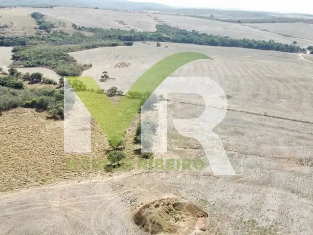 Imagem 2: Fazenda 60 Alqueires em Ipameri Go