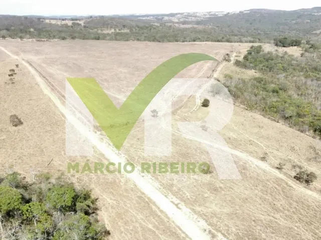 Imagem 15: Fazenda 60 Alqueires em Ipameri Go
