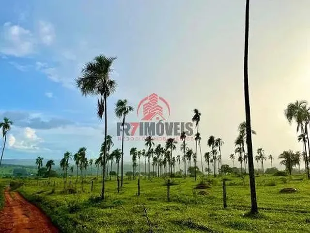 Imagem: Fazenda na Cidade de Professor Jamil Goiás