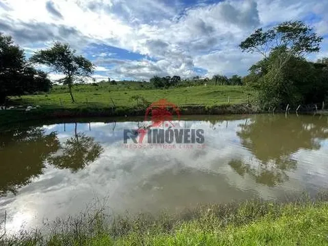 Imagem 14: Fazenda na Cidade de Professor Jamil Goiás