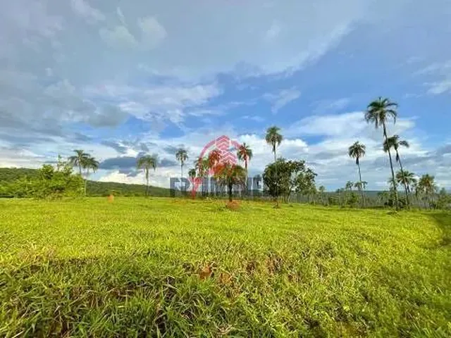 Imagem 5: Fazenda na Cidade de Professor Jamil Goiás