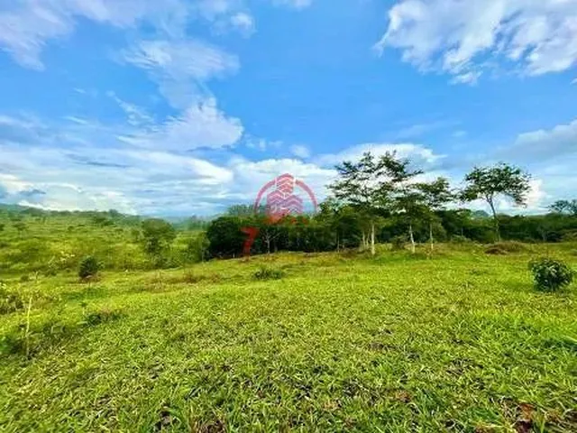 Imagem 15: Fazenda na Cidade de Professor Jamil Goiás