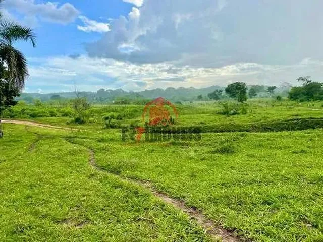 Imagem 12: Fazenda na Cidade de Professor Jamil Goiás