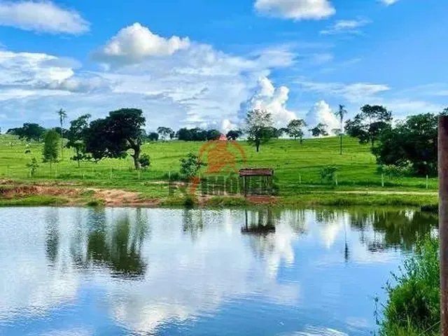 Imagem 6: Fazenda na Cidade de Professor Jamil Goiás