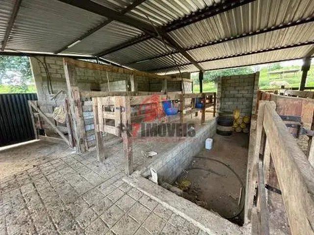 Imagem 4: Fazenda na Cidade de Professor Jamil Goiás
