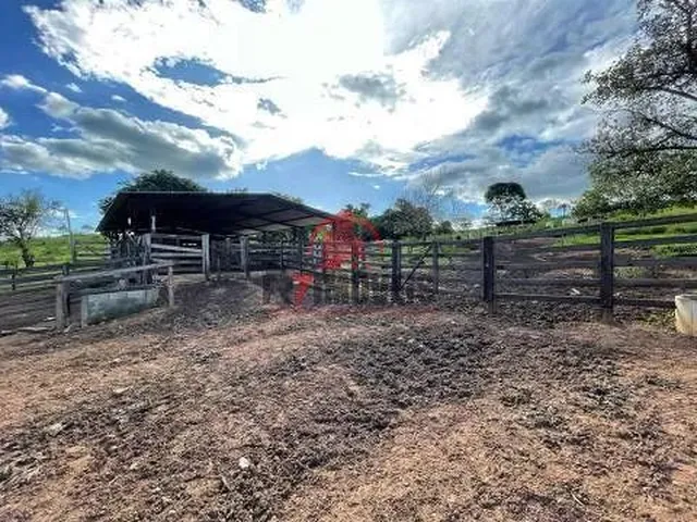 Imagem 11: Fazenda na Cidade de Professor Jamil Goiás