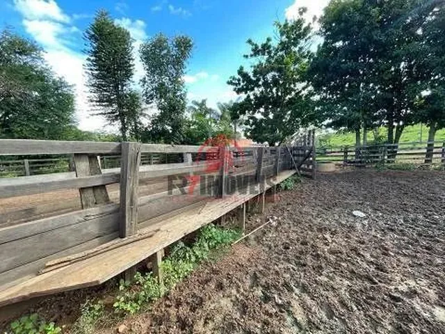 Imagem 9: Fazenda na Cidade de Professor Jamil Goiás