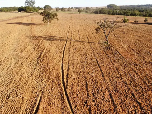 Imagem: Fazenda/Sítio/Chácara 7 Alqueires,2 em