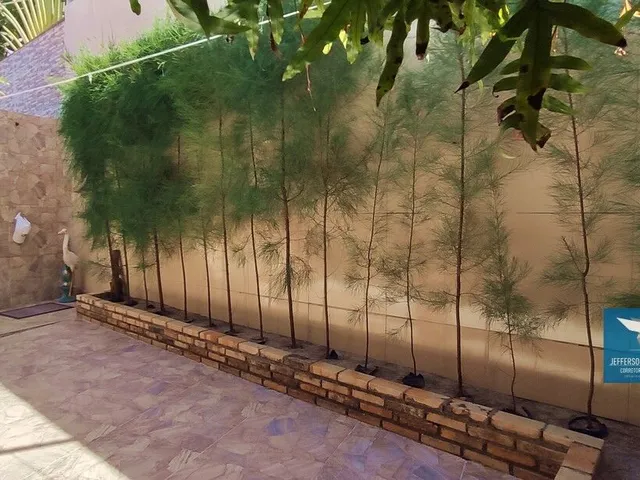 Imagem 5: Casa Plana com Deck Privativo em Condomínio Fechado no Eusébio, Móveis Projetados