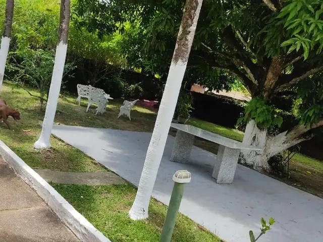 Imagem 4: Chácara com Piscina em São Cristóvão