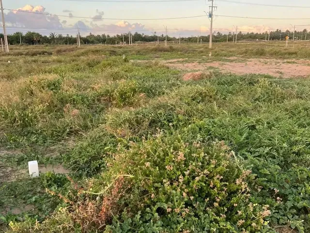 Imagem: Lote À Venda no Villaredo Aruana, Robalo