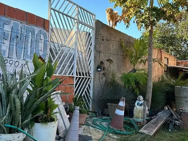 Imagem: O terreno possui 290m² de Área e está localizado em São