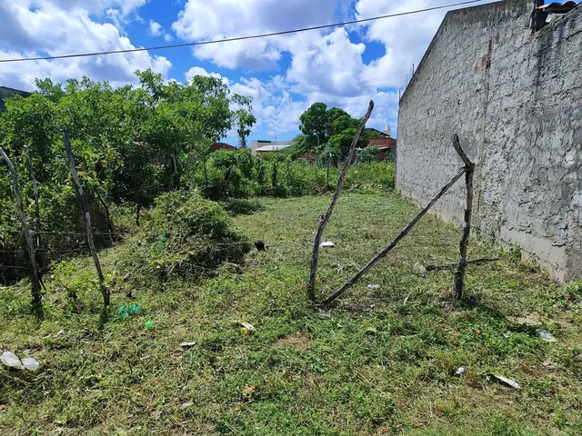 Imagem: Terreno na Taicoca de Fora