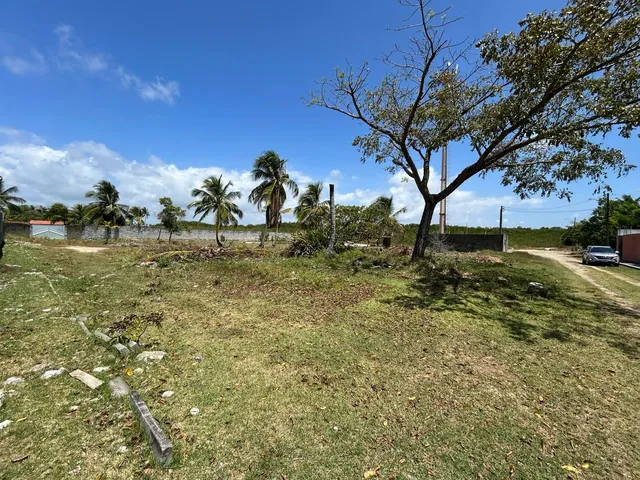 Imagem: Vendo Lote Exclusivo no Matapoã!