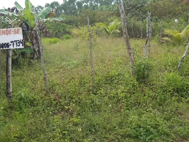 Imagem: Terreno Itaporanga D Amp Apos Ajuda