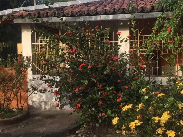 Imagem: Sítio em Japaratuba