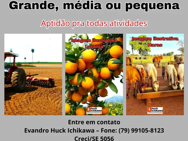 Imagem 1: Fazenda de Gado, Milho, Laranja, Camarão...