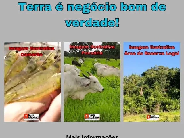 Imagem 8: Fazenda de Gado, Milho, Laranja, Camarão...