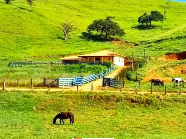 Imagem 14: Fazenda de Gado, Milho, Laranja, Camarão...
