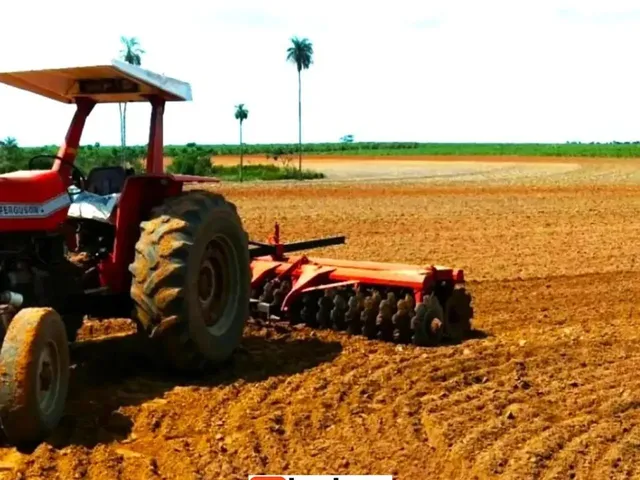 Imagem 13: Fazenda de Gado, Milho, Laranja, Camarão...