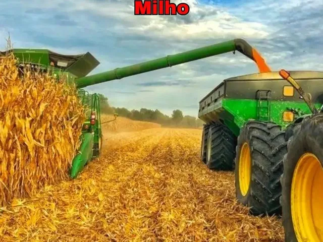 Imagem 16: Fazenda de Gado, Milho, Laranja, Camarão...