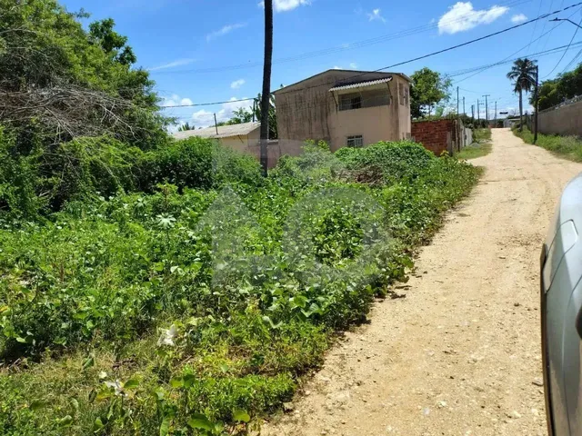 Imagem: Terreno de Esquina no Bairro Mosqueiro com