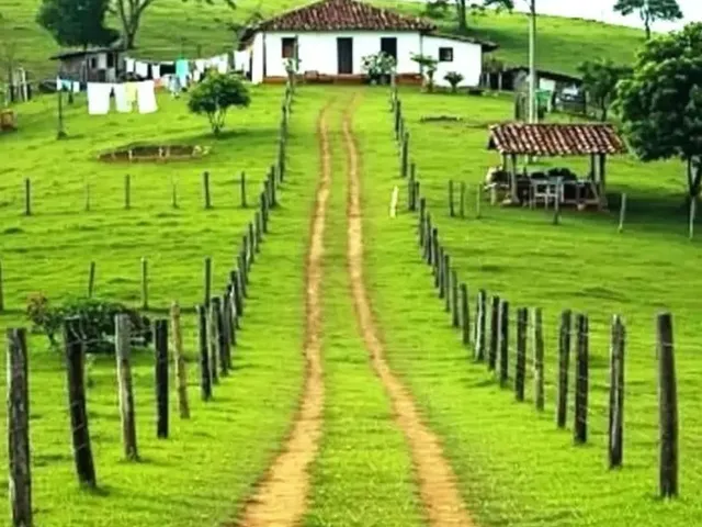 Imagem 3: Fazenda, Sítio, Chácara