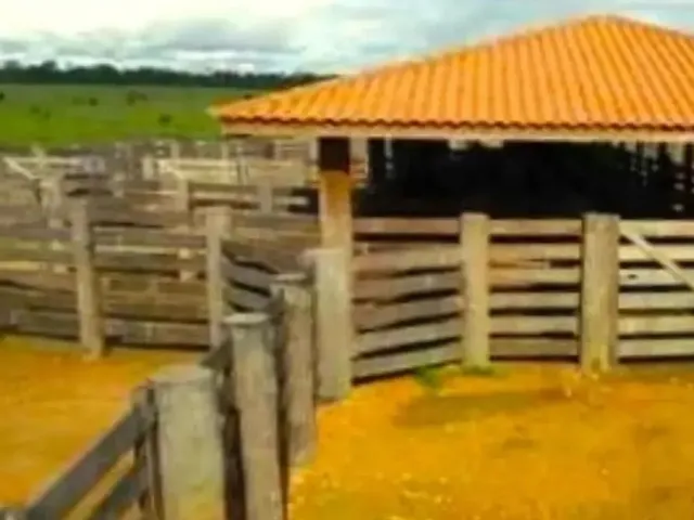 Imagem 8: Fazenda, Sítio, Chácara