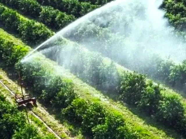 Imagem 6: Fazenda, Sítio, Chácara