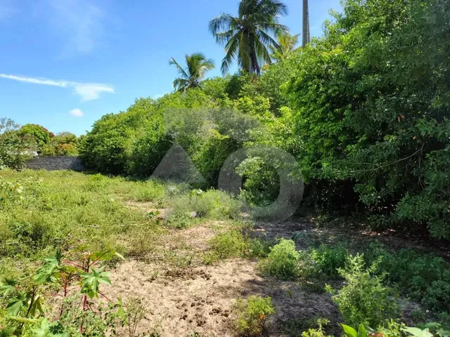 Imagem: Terreno no Bairro Mosqueiro com Ótimo Acesso