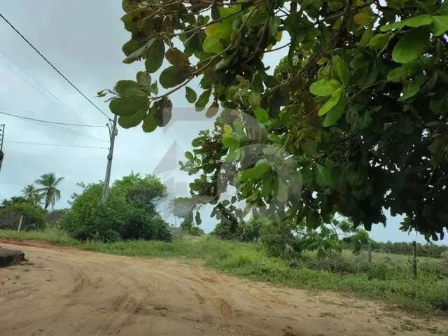 Imagem: O terreno possui 600m² de Área e está localizado em São